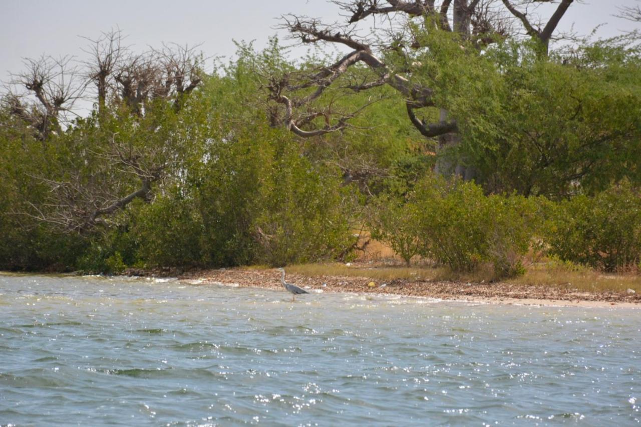 Le Pelican Du Saloum Sine-Saloum Eksteriør bilde