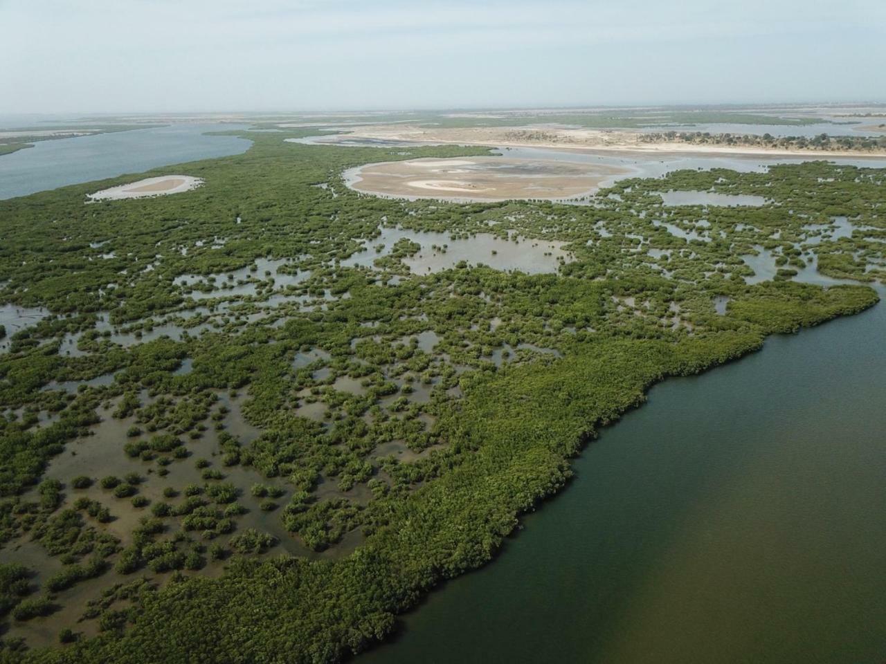 Le Pelican Du Saloum Sine-Saloum Eksteriør bilde